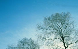 网站ddos隐藏源ip